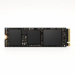 SSD NVMe 256Go